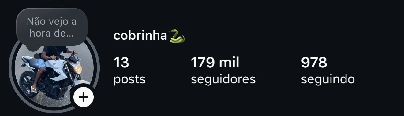 Print do perfil @cobrinha com 179 mil seguidores